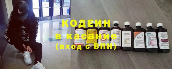 сатива Вяземский