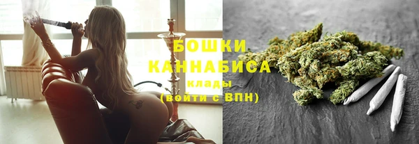 сатива Вяземский