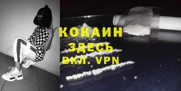 сатива Вяземский