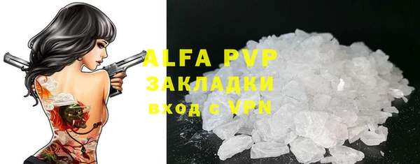 СК Вязьма
