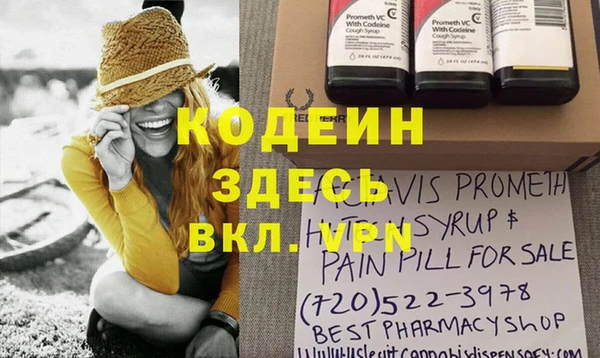 сатива Вяземский