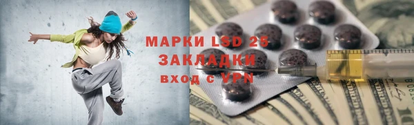 СК Вязьма