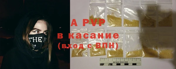 СК Вязьма
