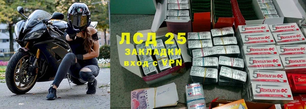 сатива Вяземский