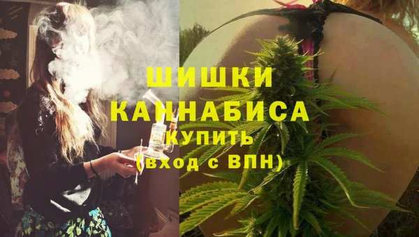 СК Вязьма