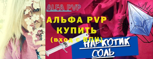 СК Вязьма