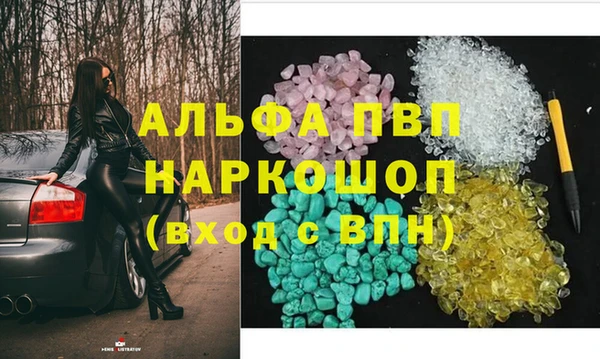 СК Вязьма