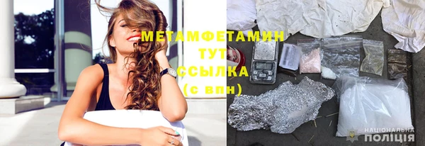 сатива Вяземский