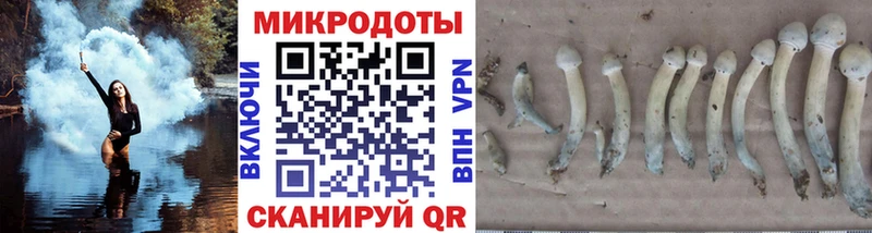 Галлюциногенные грибы GOLDEN TEACHER  Чернушка 
